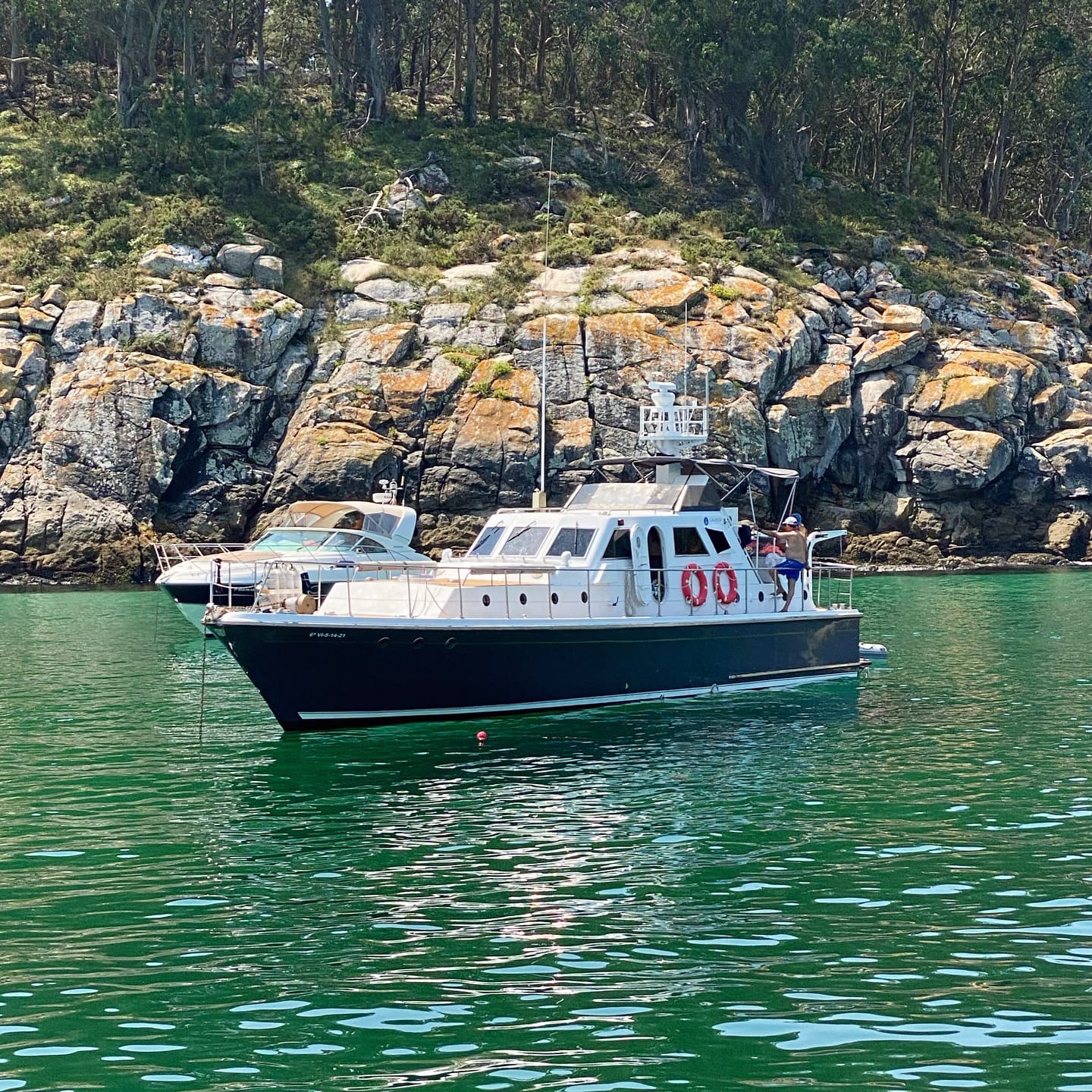 Excursión con Delfines